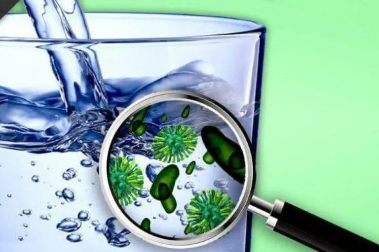 bacteria+water-1920w