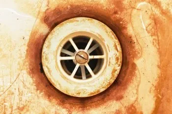 brown_thumb+(1)-480w